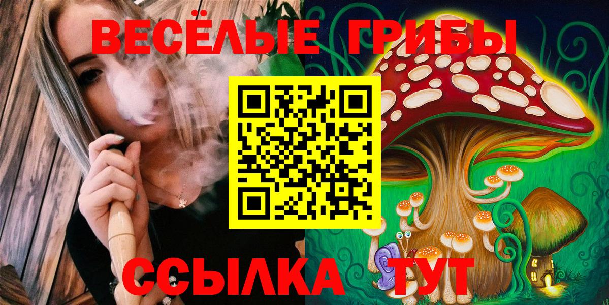 Галлюциногенные грибы GOLDEN TEACHER Гудермес