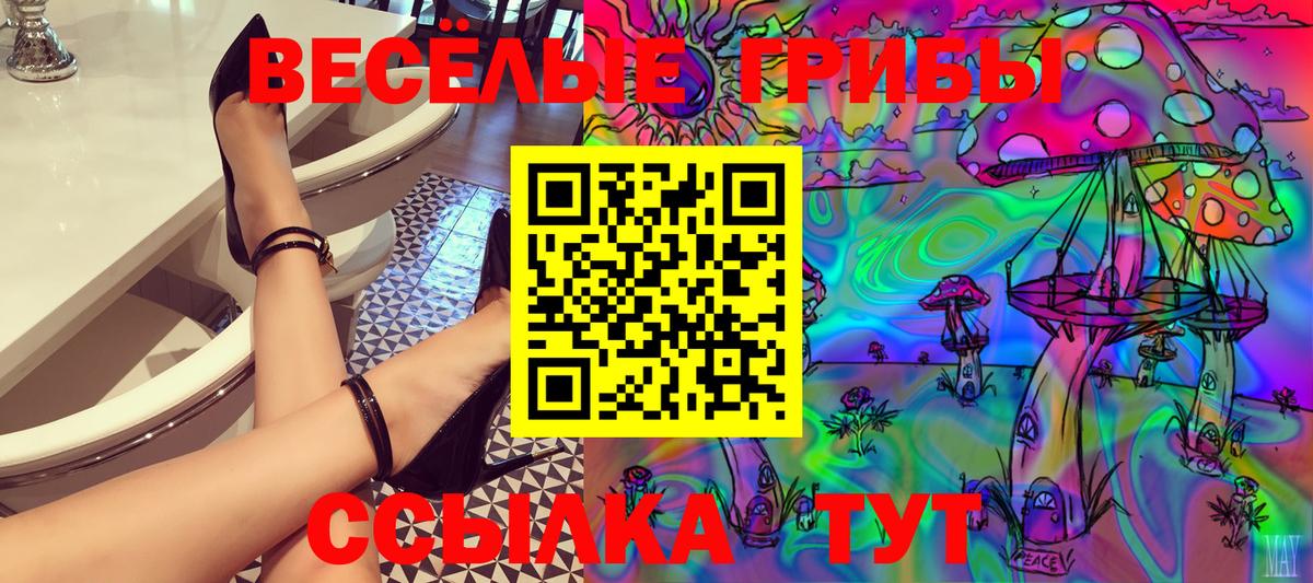 купить закладку  Вход с VPN  Гудермес  Галлюциногенные грибы прущие грибы 