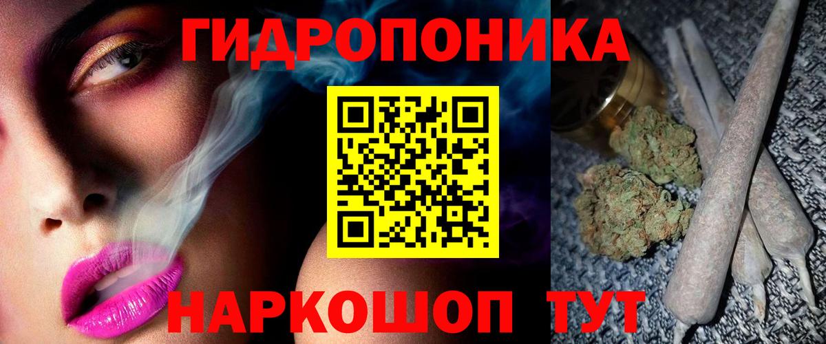 Бошки марихуана сатива Гудермес